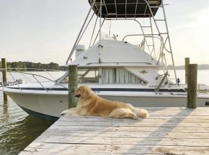 dog friendly places in Urbanna