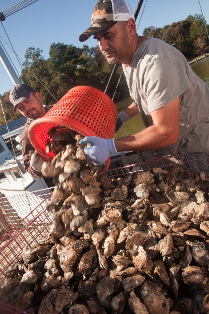 Urbanna Seafood Market Virginia's River Realm
