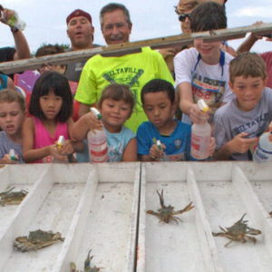 Deltaville Seafood Festival