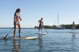 Water Paddle board