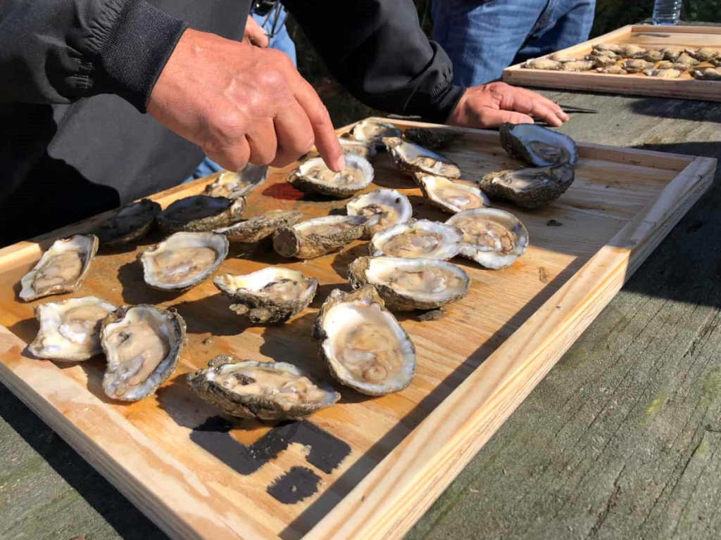 The Urbanna Oyster Festival Comes to You This Year Virginia's River Realm