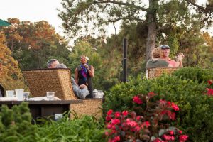 Outdoor Music Concerts in Virginia's River Realm