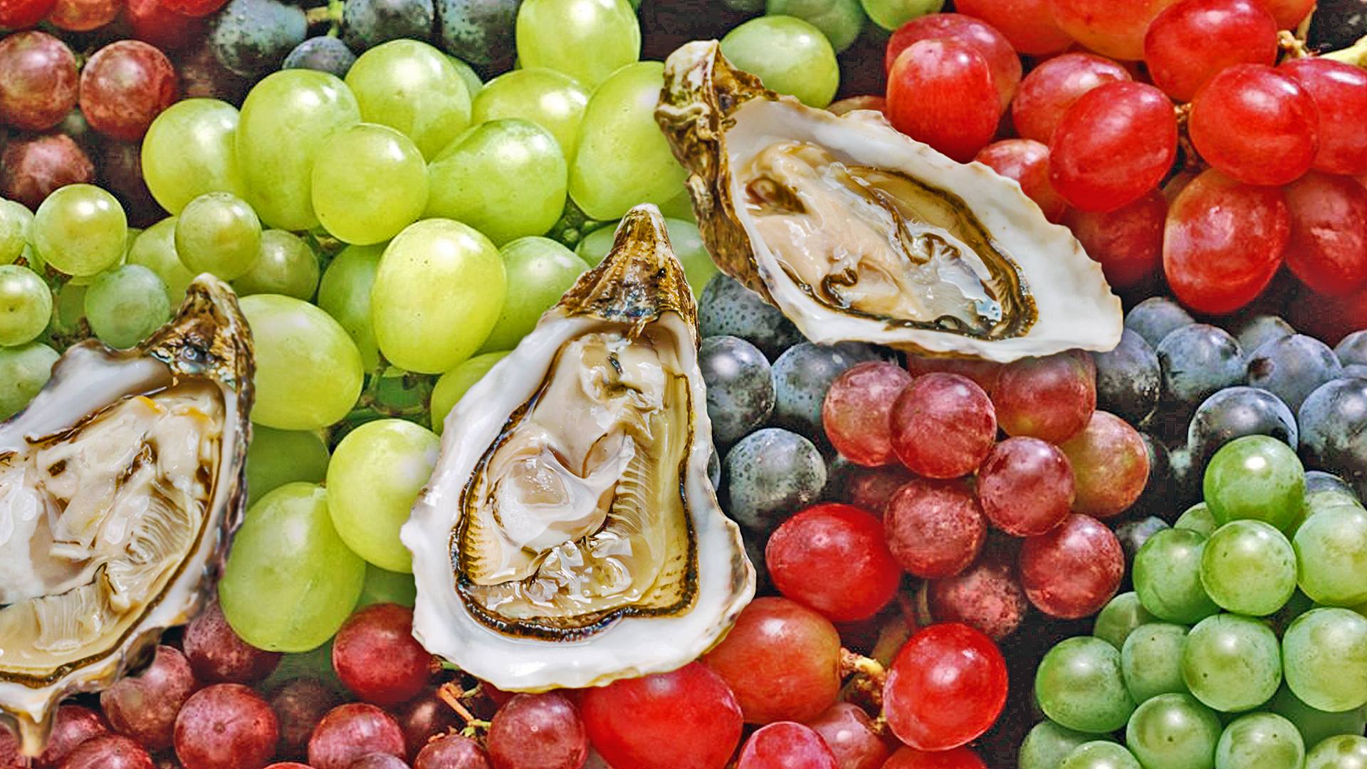 Taste By The Bay Wine, Arts, & Ale SOLD OUT Virginia's River Realm