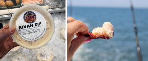 Fishinf the Rappahannock & Chesapeake