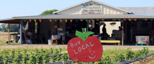 Weekend Getaway to Deltaville, Virginia