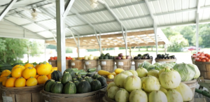 Norman's Produce & Farmers Market in Saluda, Virginia