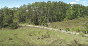 Belle Isle State Park in Lively, Virginia