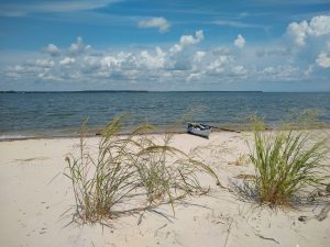 Fleet's Island Kayaking