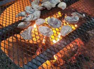 refuel cafe oysters on grill