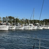 481779948_949132350677592_5577635716688877667_n