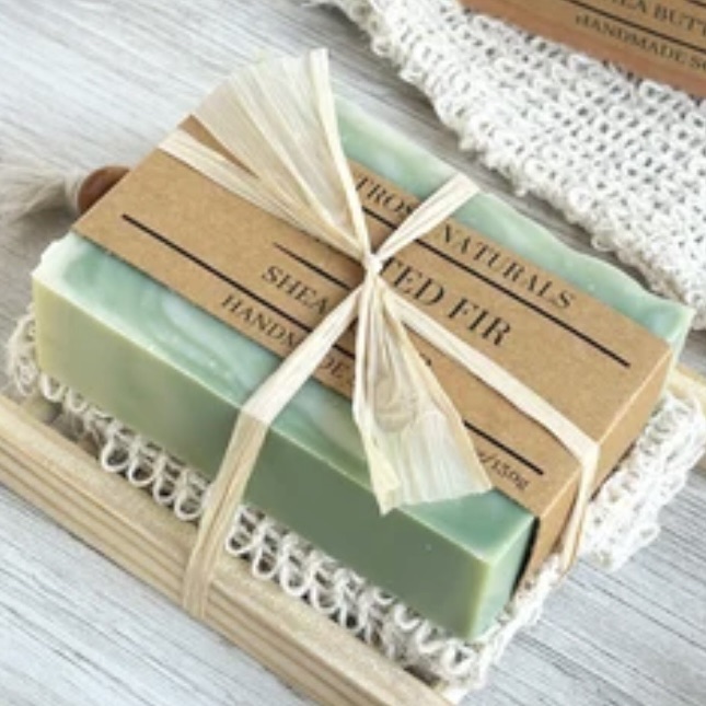 608774630_3907552959543448_3712530092918930756_n