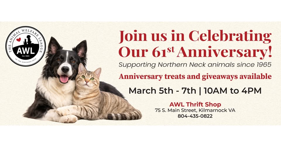 641416539_897338276261138_2312284333786586866_n