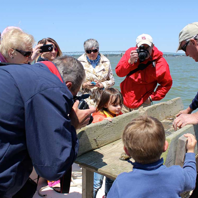 Experience the Chesapeake Bay with an authentic working waterman as your guide. Learn about the Bay, the oyster industry and it’s surrounding wildlife.  Website: watermentours.com