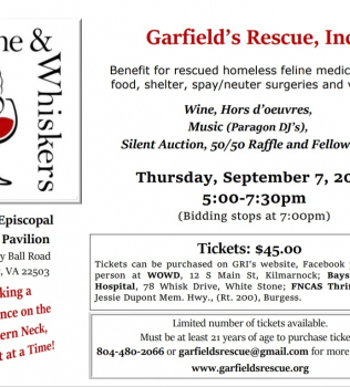 “Wine & Whiskers” Community Fundraiser & Silent Auction