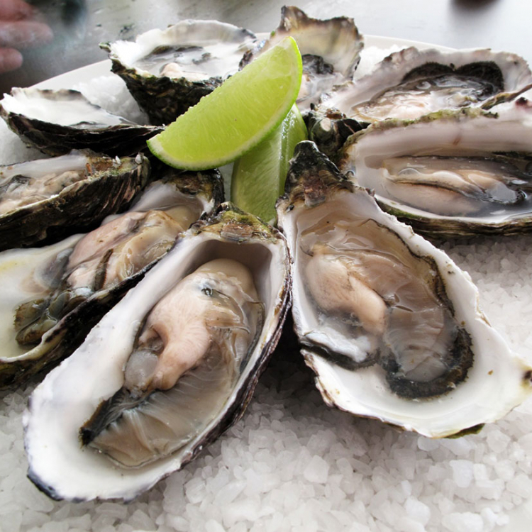 Seasonal experiences that center on our native oyster and its resurgence as a culinary force. Each “Academy” is unique, whether “boat-to-table”, featuring tours with a local waterman or an educational event with a local chef.  Website: www.vaoystercountry.com