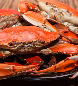 Morattico Waterfront Museum’s Crab Feast