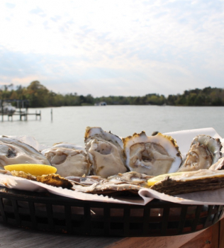 Four Places to Enjoy the Virginia Oyster for National Oyster Day