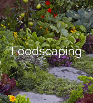 Dug in Farms Workshop: Foodscaping