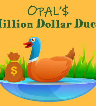 Opal’s Million Dollar Duck